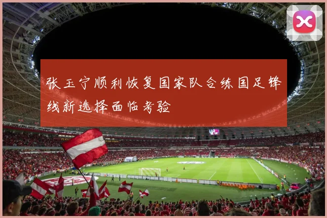 张玉宁顺利恢复国家队合练国足锋线新选择面临考验